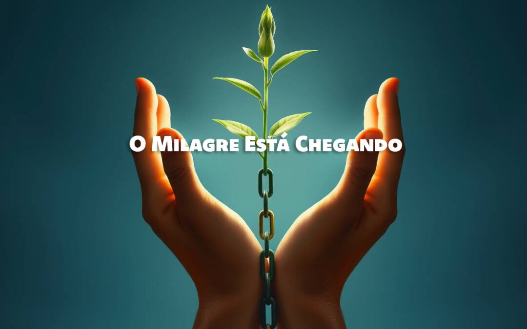 O Poder de Acreditar que o Milagre Está Chegando