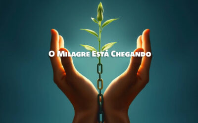 O Poder de Acreditar que o Milagre Está Chegando