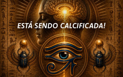 Glândula Pineal: O Que É, Por Que Calcifica e Como Reativar