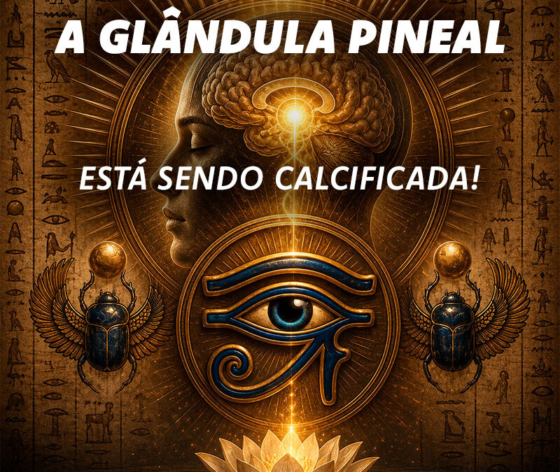 Glândula Pineal: O Que É, Por Que Calcifica e Como Reativar